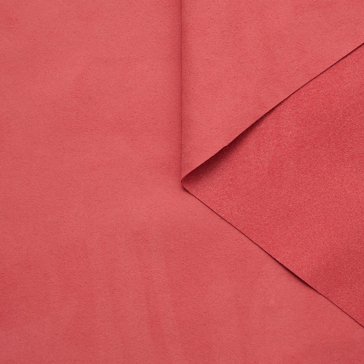 T24C10065 | Alcantara® 0.5