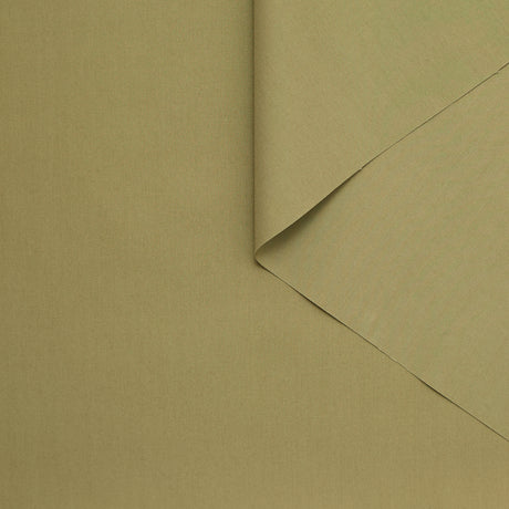 T24C10954 | Popeline de Coton BCI
