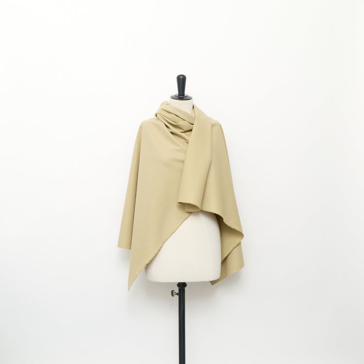 T24C10972 | Cotton Suiting - view 2