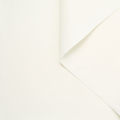 T24C10991 | Twill de Coton Lavé