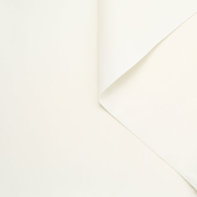 T24C10991 | Twill de Coton Lavé