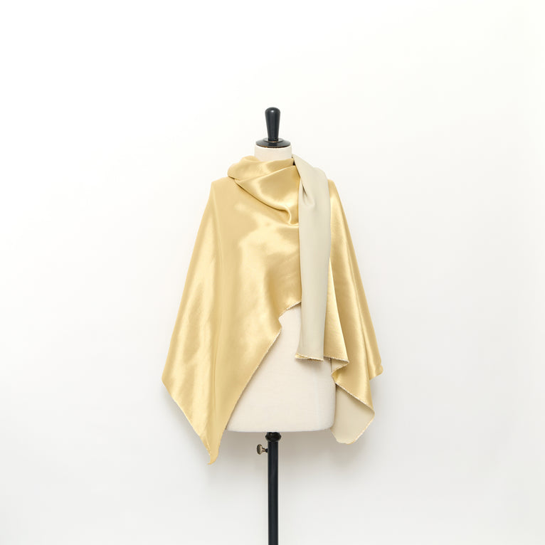 T24C11018 | Cady de Soie Lamé - vue 2