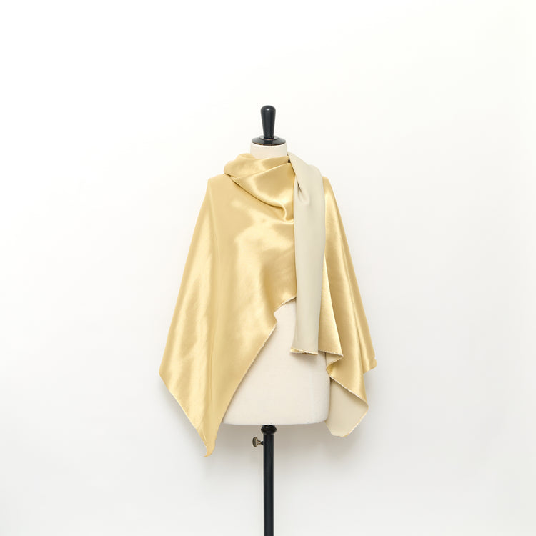 T24C11018 | Cady de Soie Lamé - vue 2