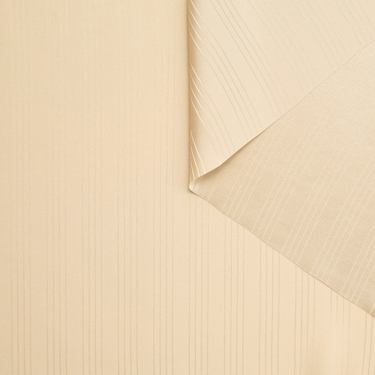 T24C11031 | Satin de Soie à Rayures GOTS - vue 5