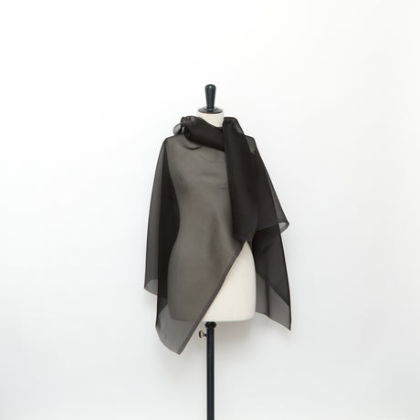  Organza en Soie