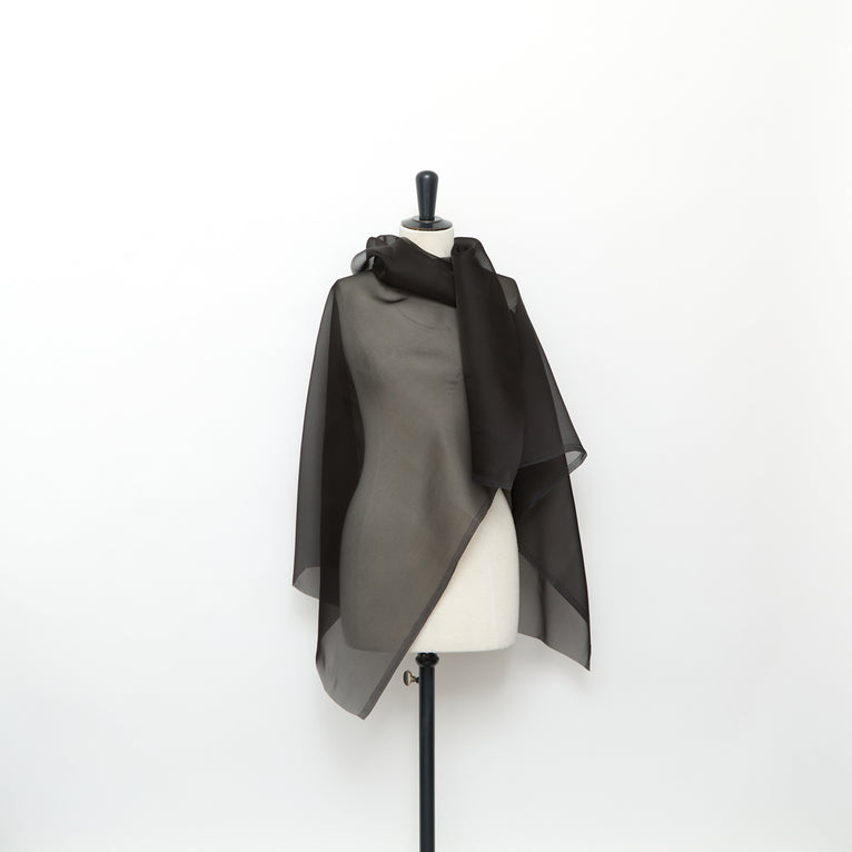 T24C11035 | Organza en Soie - vue 2
