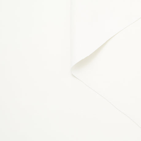 T24C11043 | Viscose Crepe Cady