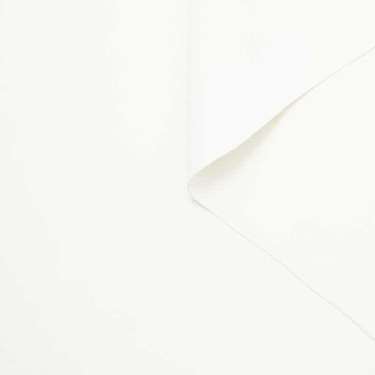 T24C11043 | Crêpe Cady de Viscose - vue 1