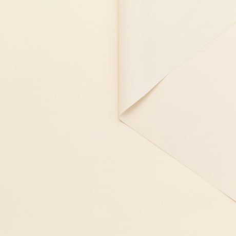 T24C11086 | Toile de Nylon Déperlante Brillante GRS
