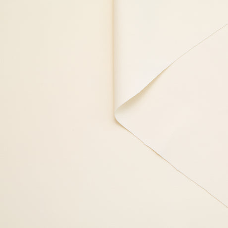 T24C11100 | Cady de Viscose Double Face FSC
