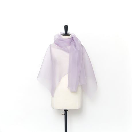  Organza en Soie