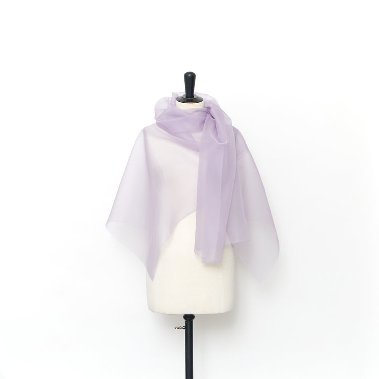 T24J06637 | Organza en Soie - vue 2