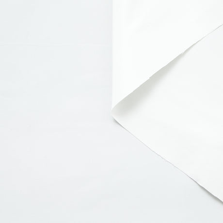 T24J06659 | Taffetas