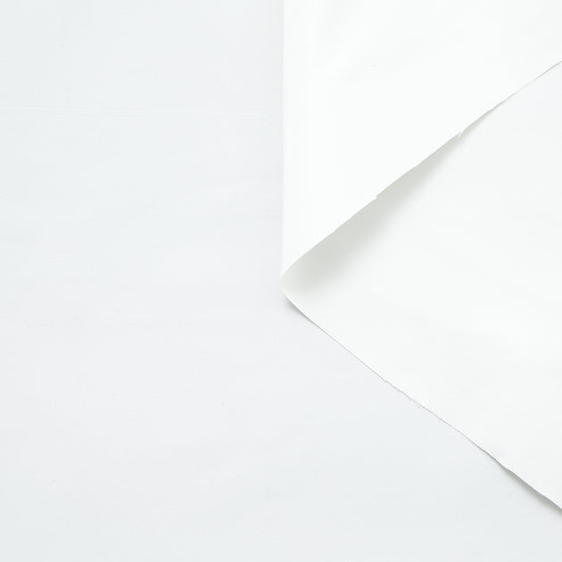 T24J06659 | Taffeta