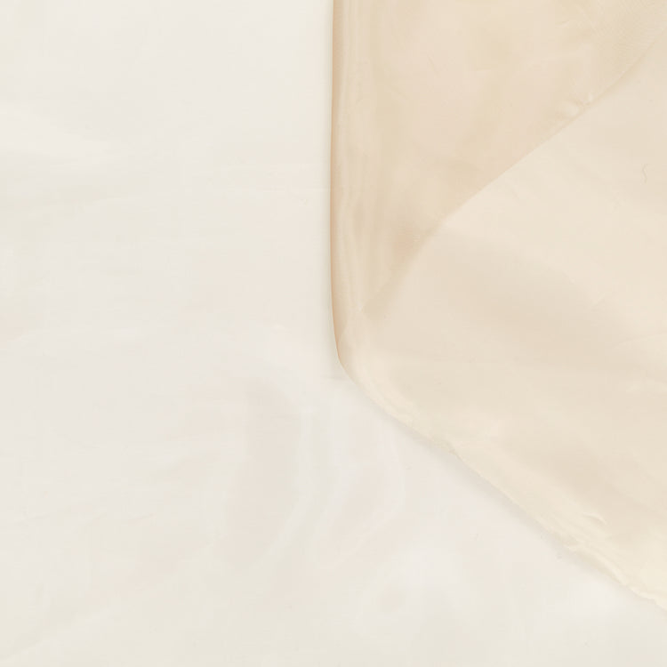T24J06739 | Organza Iridescent - vue 1