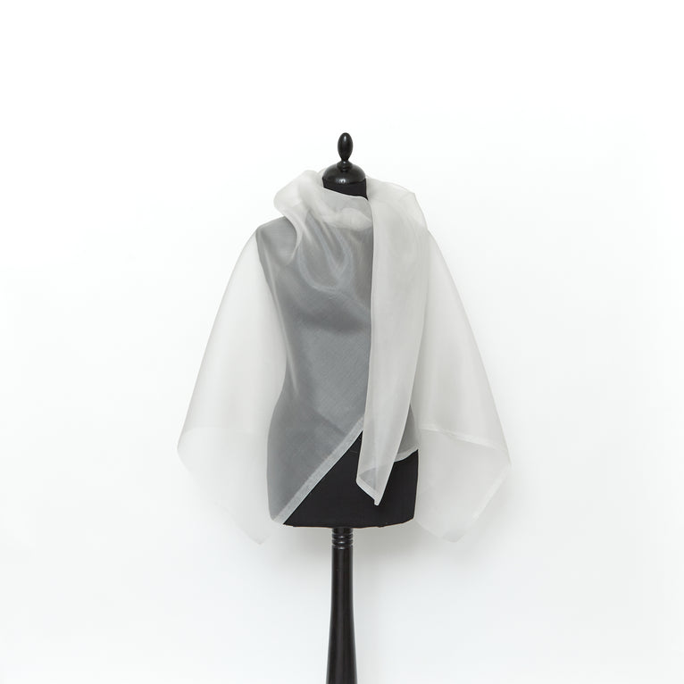 T24J06782 | Organza en Soie - vue 2