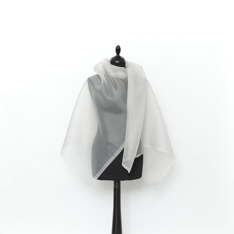 T24J06782 | Organza en Soie - vue 2