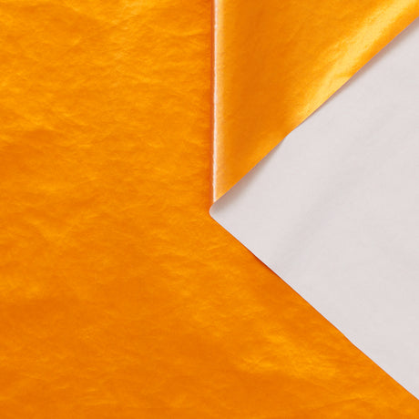T24J06810 | Toile Nylon Métallique Laminée