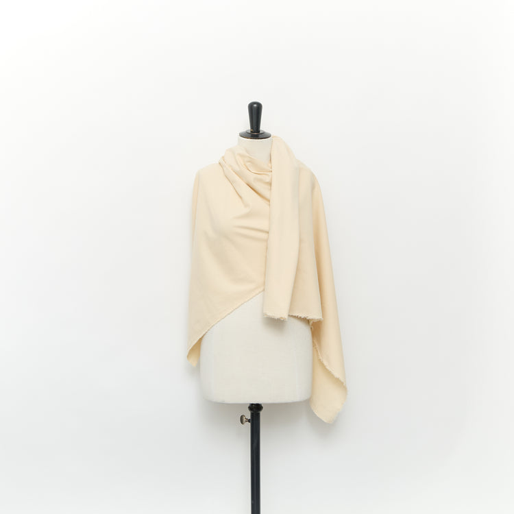 T24J10714 | Brushed Back Cotton Canvas - view 2