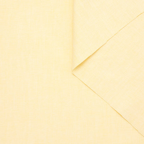 T24K08619 | Oxford Cotton Shirting