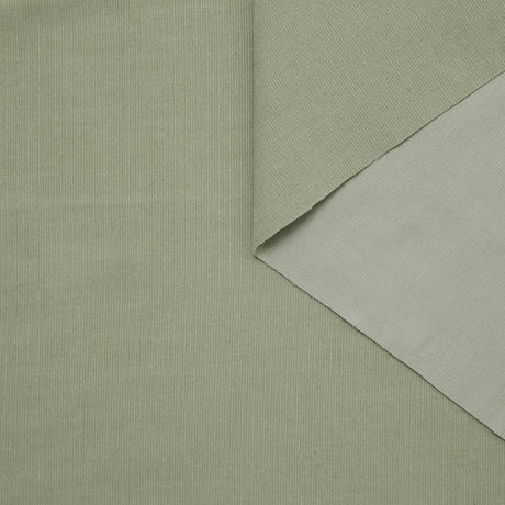 T24K08661 | Velours Milleraies en Coton