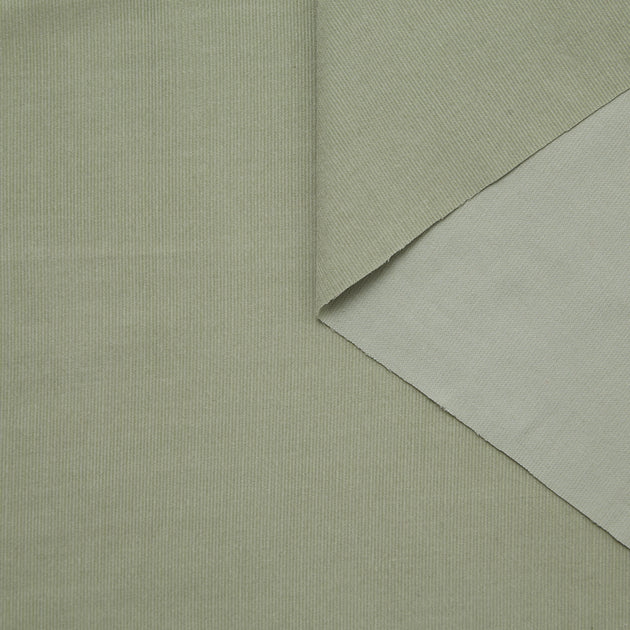 T24K08661 | Velours Milleraies en Coton