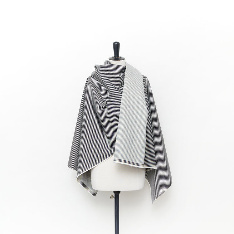 T24K08669 | Striped Denim - view 2