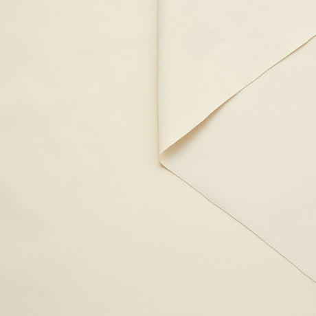 T24M09848 | Stretch Oxford Cotton