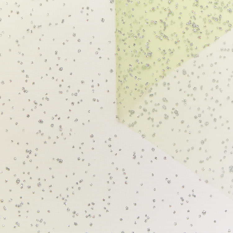 T24M09969 | Tulle à Pois Patilletés - vue 1