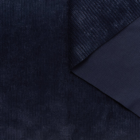 T24M09973 | Corduroy Pailleté