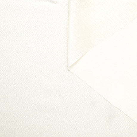 T24M10318 | Satin Martelé en Soie