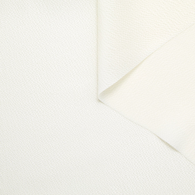 T24M10319 | Ready to dye Hammered Silk Satin GOTS - view 1
