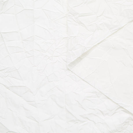 T24M10337 | Crinkled Taffeta
