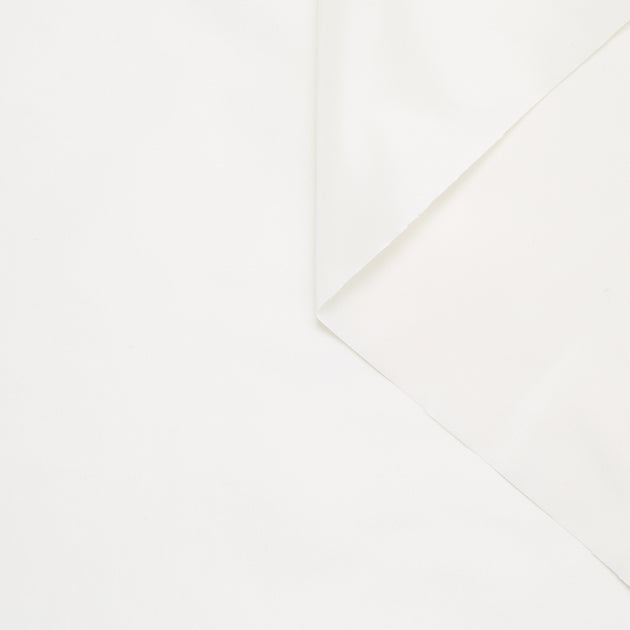T24M10339 | Silk Taffeta