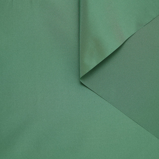 T24M10339 | Silk Taffeta