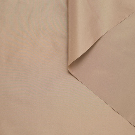 T24M10339 | Silk Taffeta