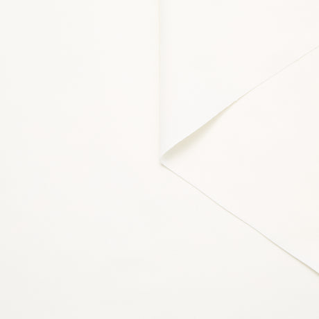 T24M10384 | Cotton Twill