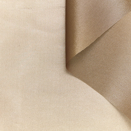 T24M10410 | Organza Lamé en Soie