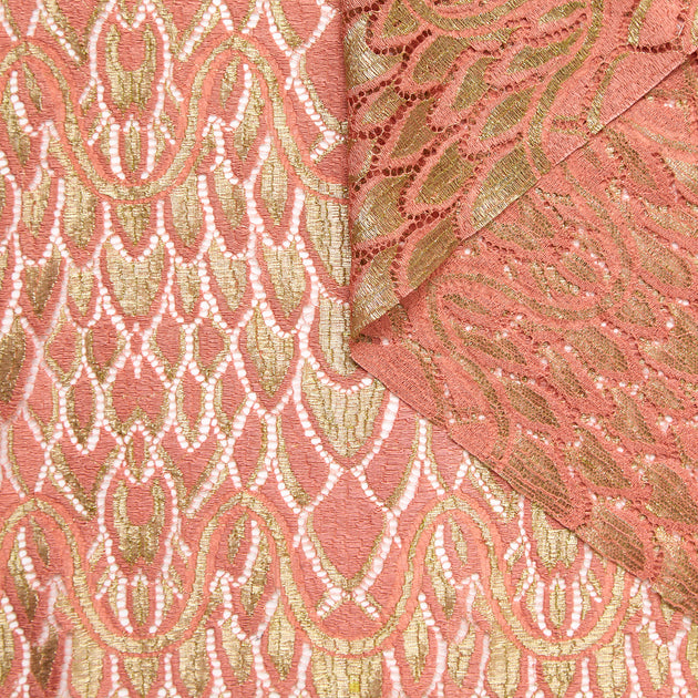 T24M10425 | Dentelle Ecailles Festonnée en Soie