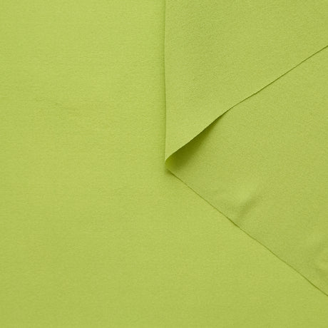 T24P13181 | Silk Crepe Georgette