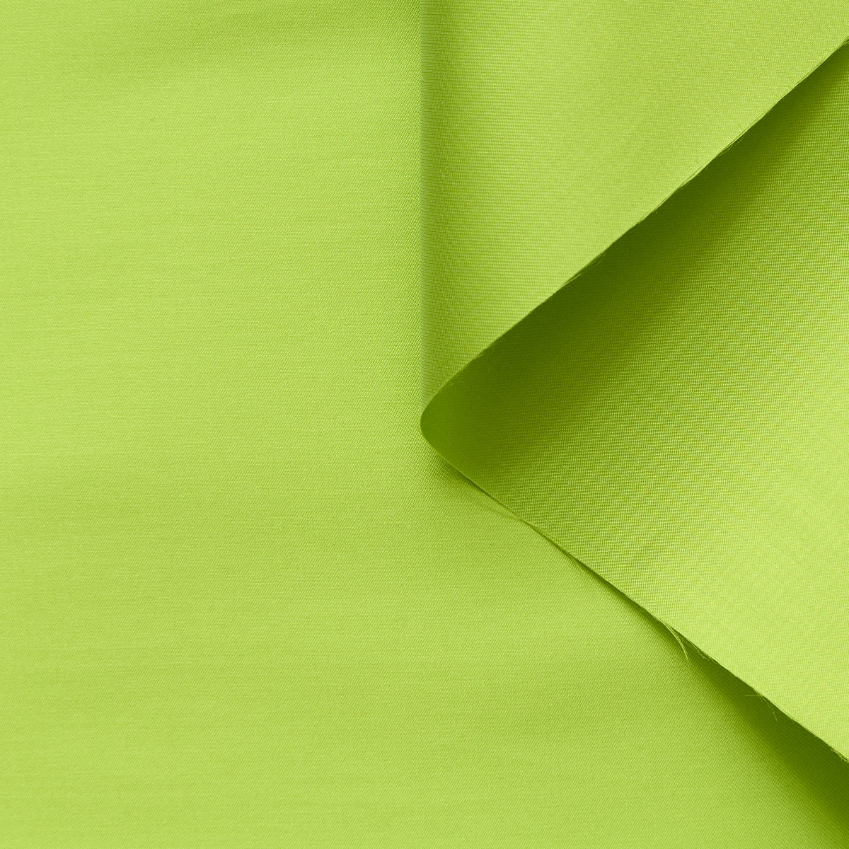 T24P13200 | Mikado brillant