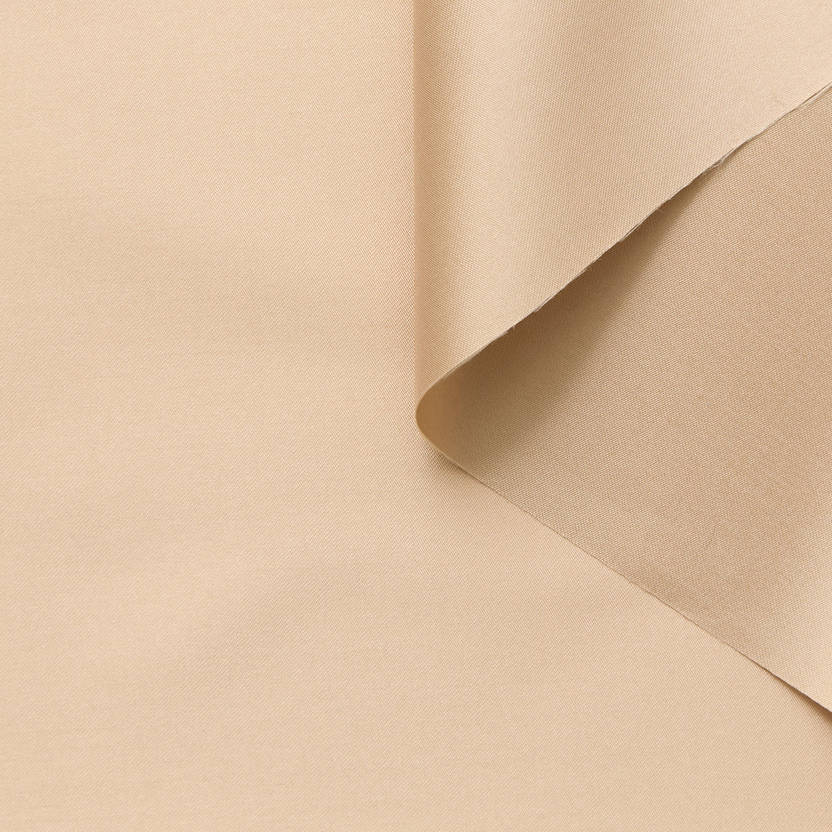 T24P13200 | Mikado brillant