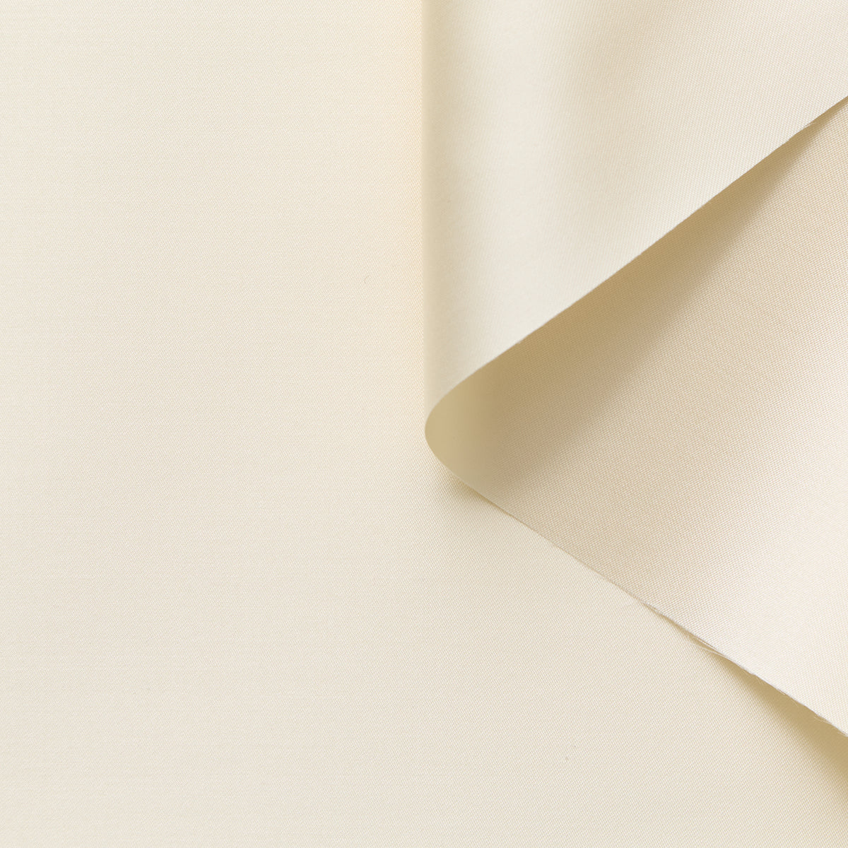 T24P13200 | Mikado brillant