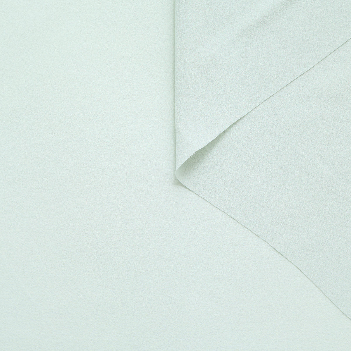 T24P13204 | Crêpe Georgette de Soie