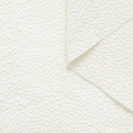 T24P13205 | Jacquard effet Roche en Coton