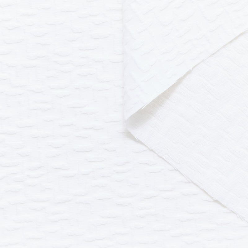 T24P13242 | Jacquard Coton