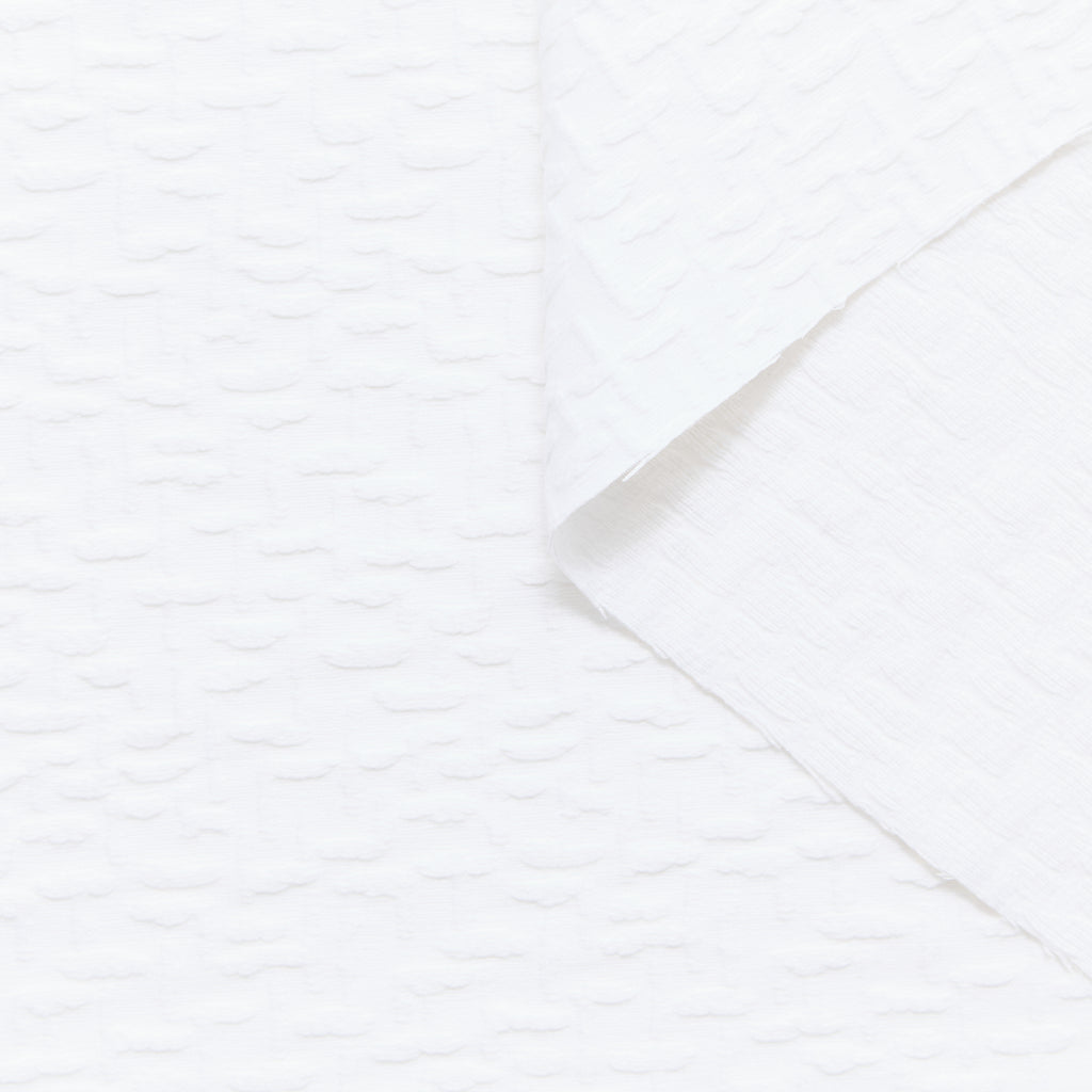 T24P13242 | Jacquard Coton