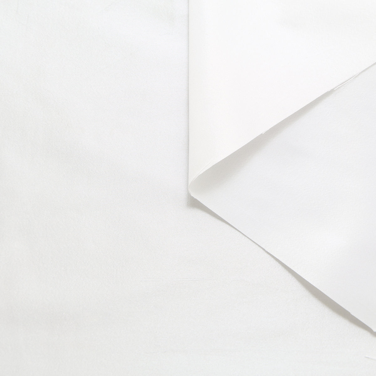 T24P13278 | Taffetas Changeant