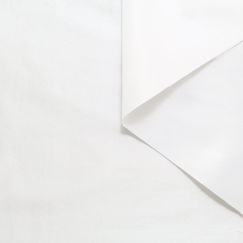 T24P13278 | Taffetas Changeant