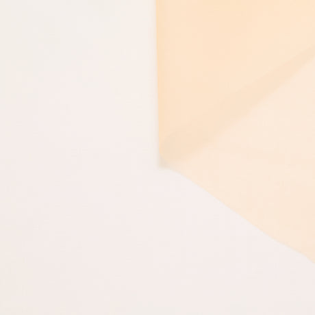 T24P13287 | Organza en Soie
